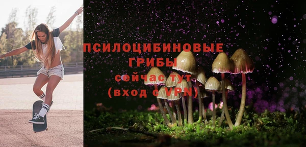 кокаин премиум Белокуриха