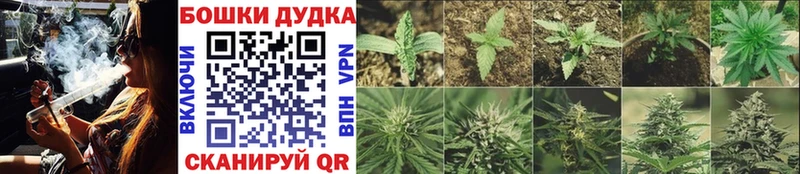 Каннабис Amnesia Макаров